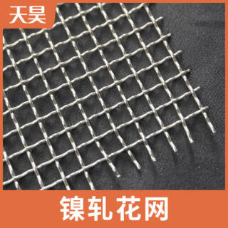 镍网 镍轧花网
